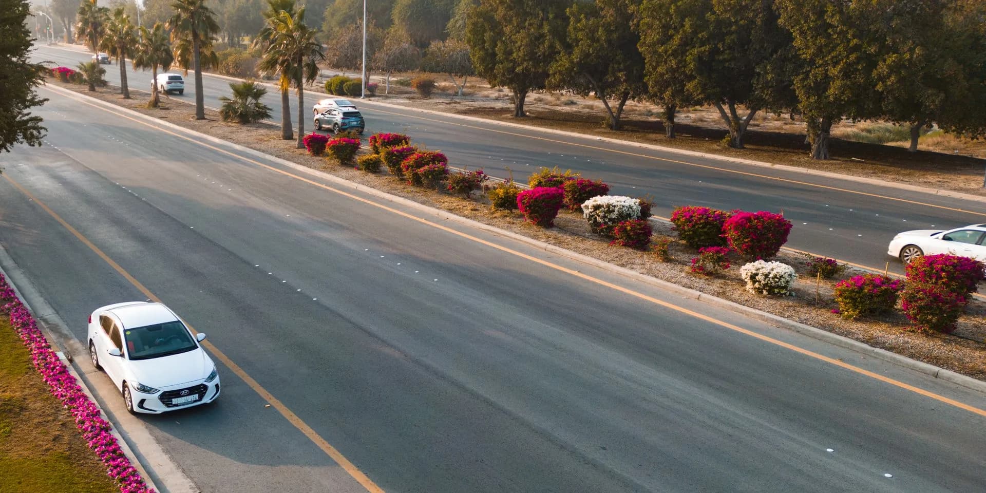 A white Hyundai Elantra on a palm-lined road in Saudi Arabia